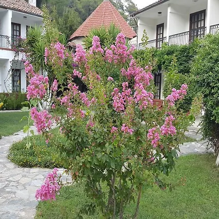 Sultan Hotel 3*
